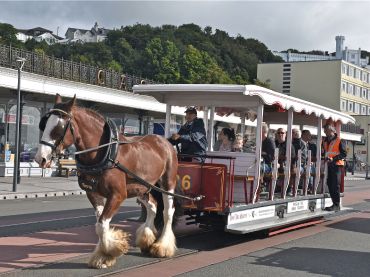 Horse Trams