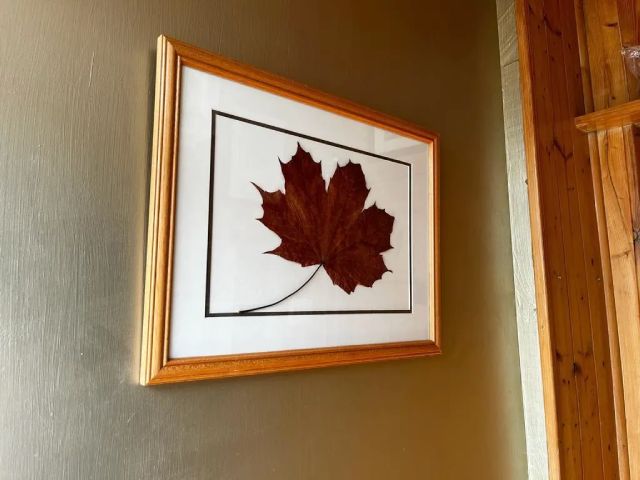 Maple leaf